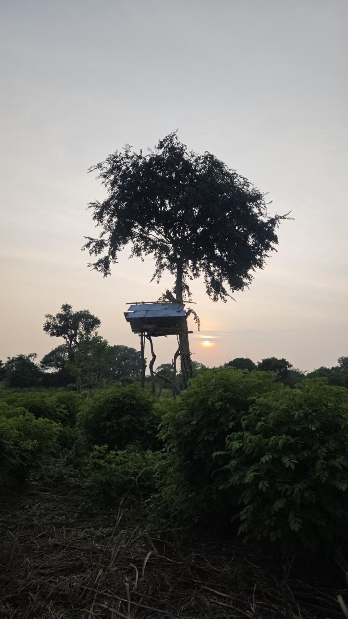 Kurumba Lodge ウィルパットゥ 部屋 写真